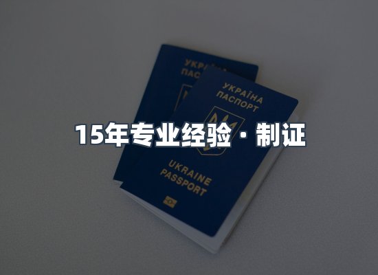 证件页面制证展示